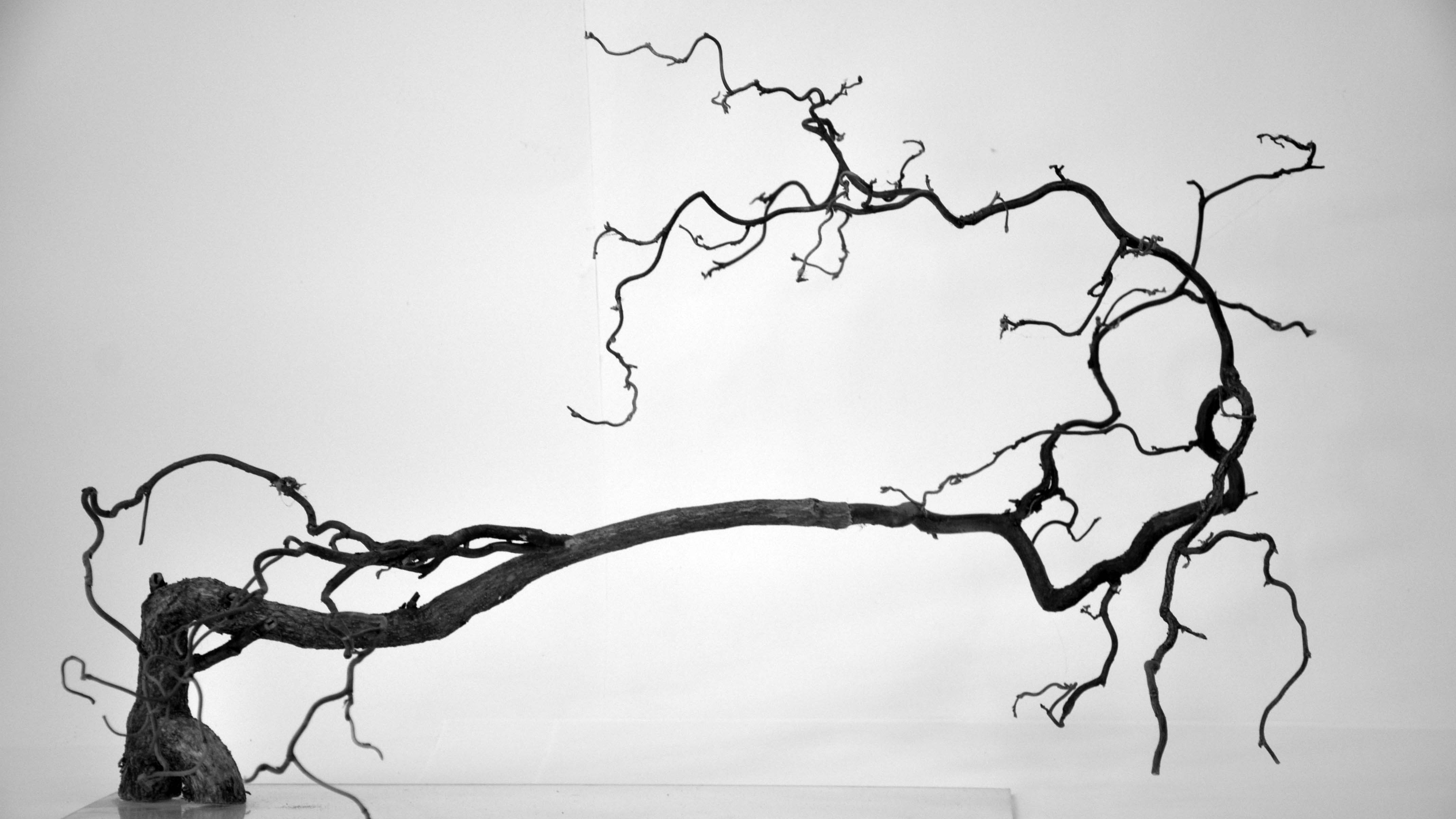 Mimo "Sick Tree" Sculpture Screenshot